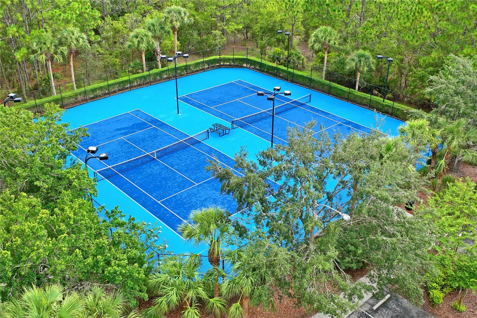 4041 AUTUMN AMBER, SPRING HILL, FL, 34609