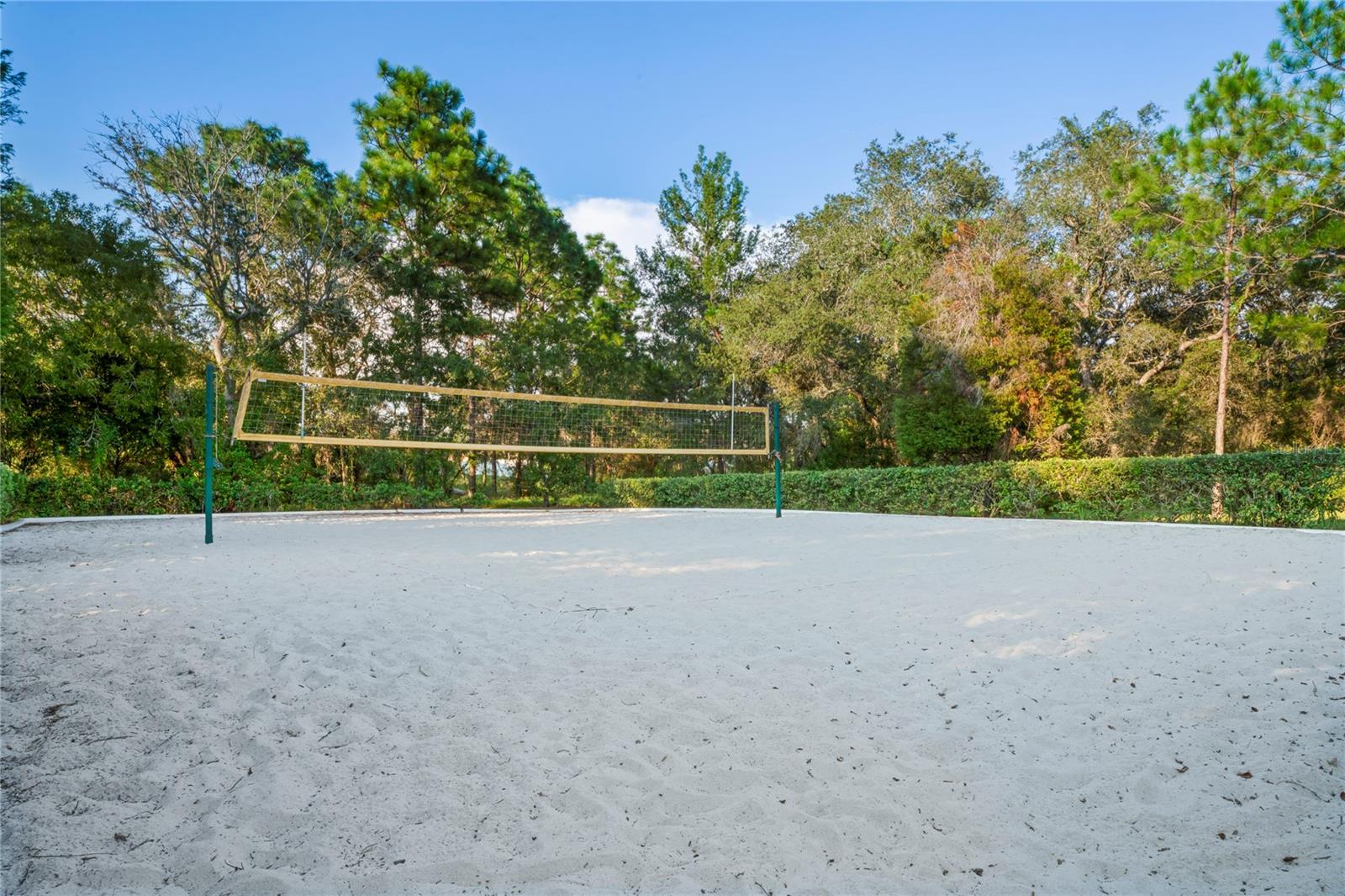 4041 AUTUMN AMBER, SPRING HILL, FL, 34609