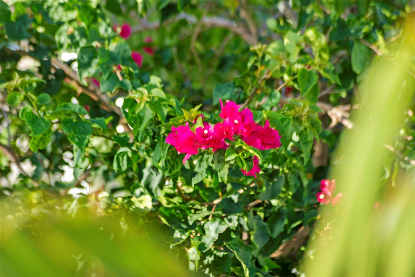 TB8409679 Property Photo