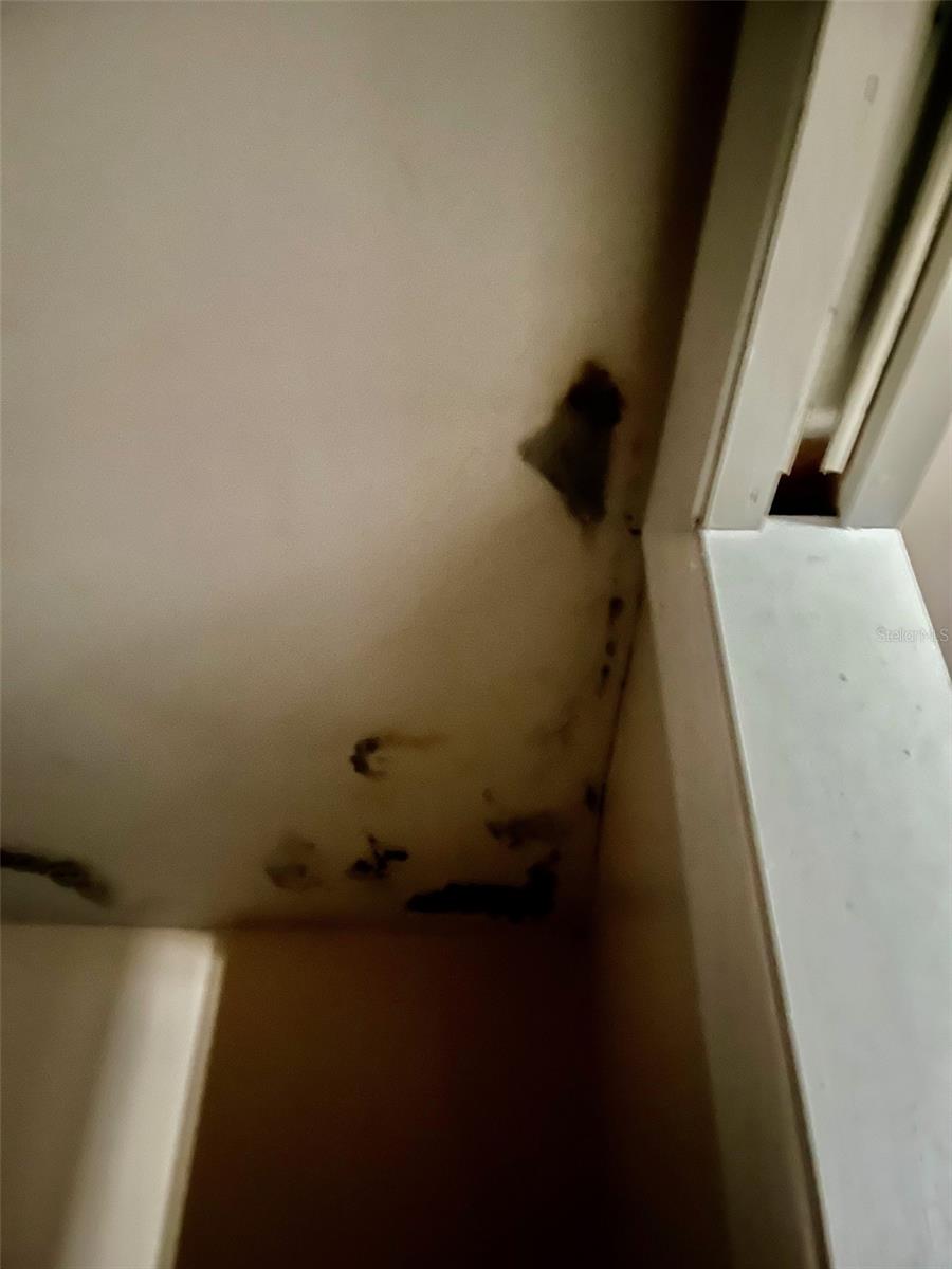 Another area of potential mold.