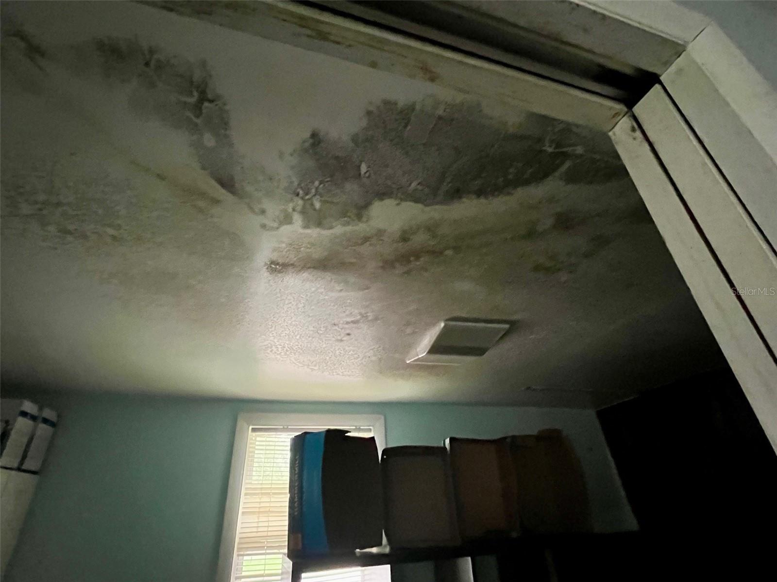 Potential mold exists in home