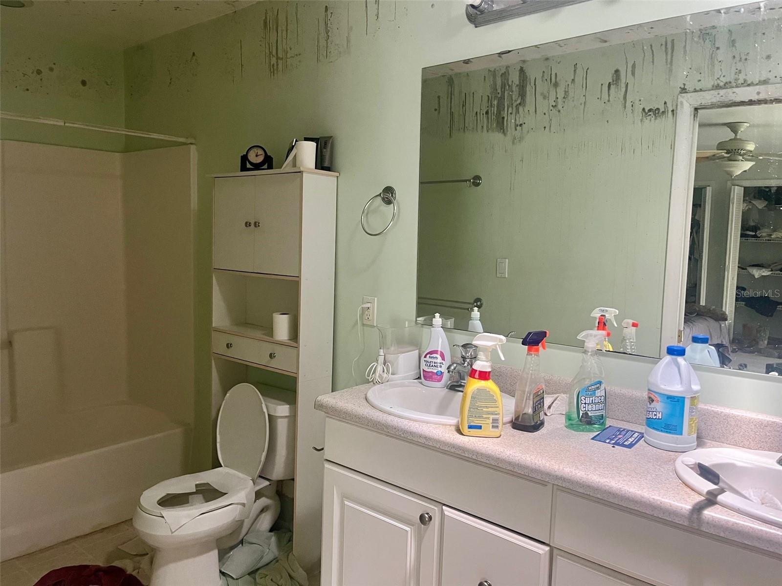 Ensuite bathroom for the primary bedroom