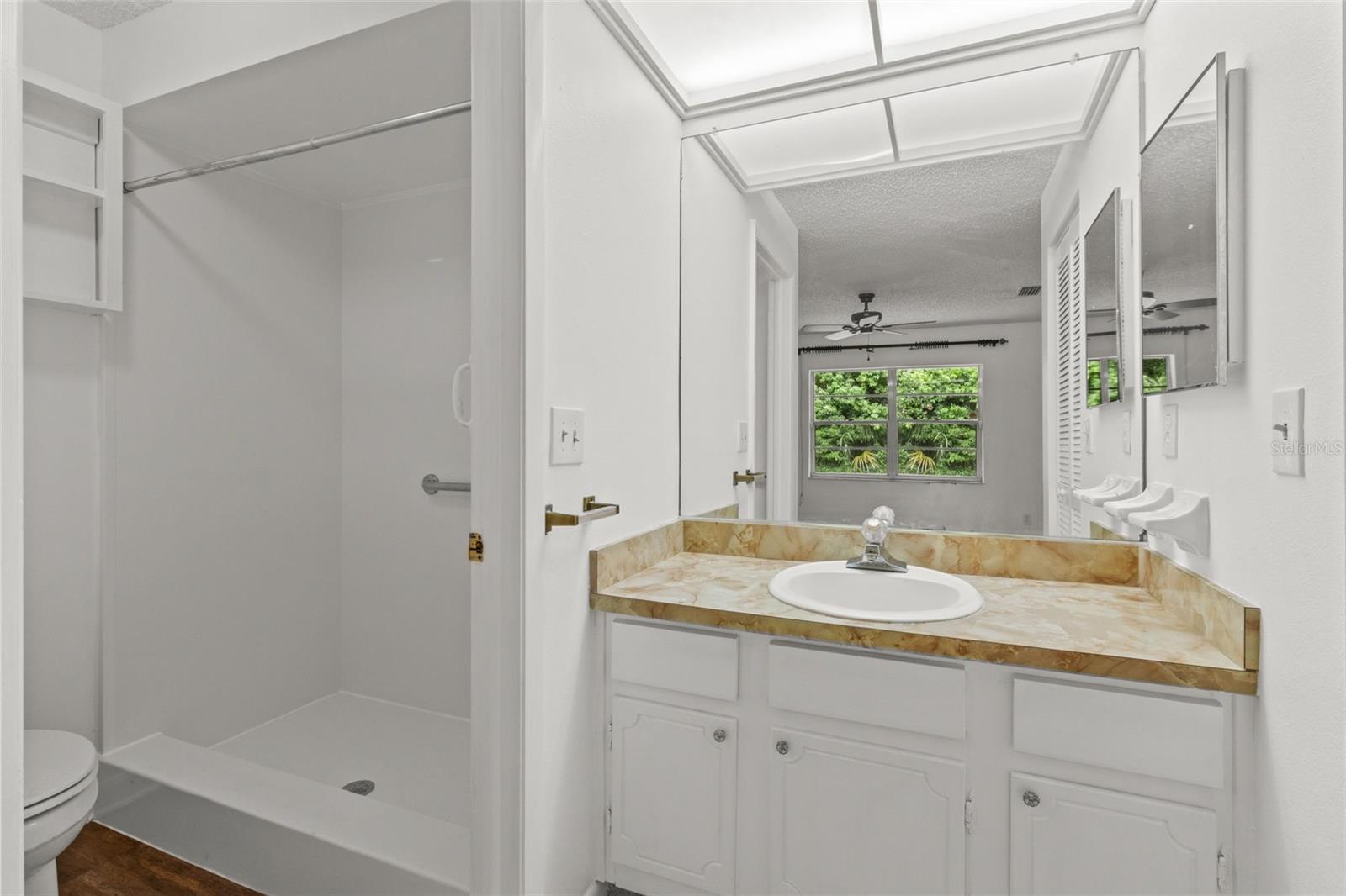 Primary bath and brand new shower