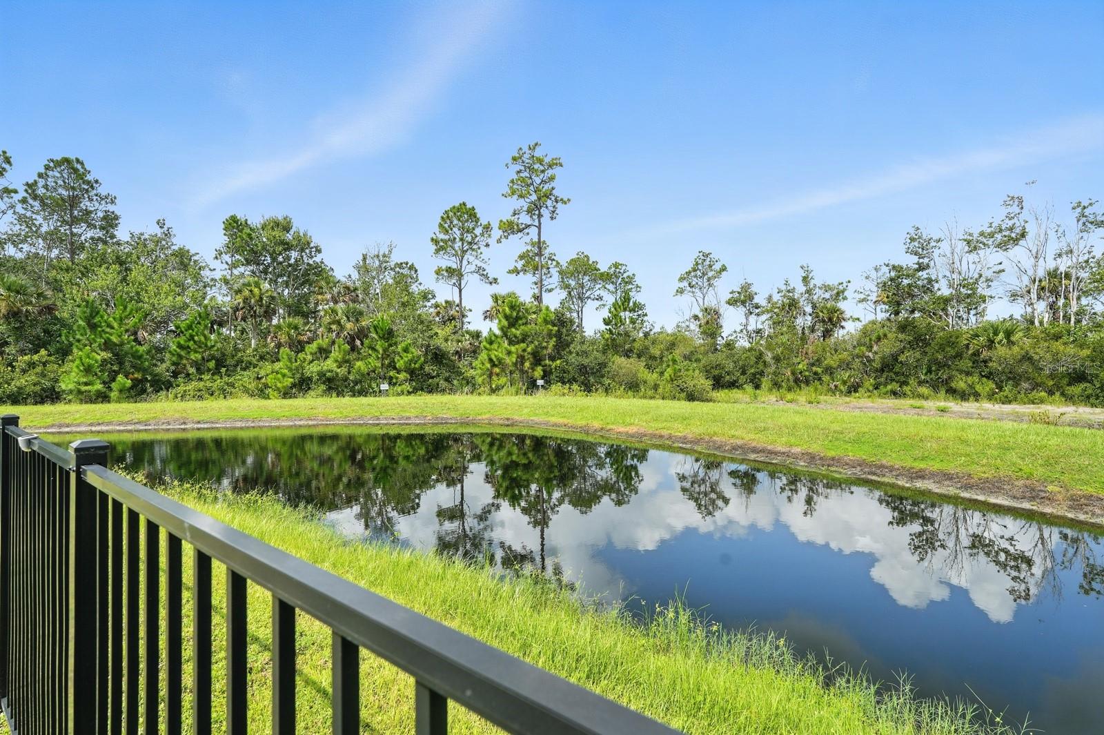 141 NIGHTHAWK LN, PALM COAST, FL, 32164