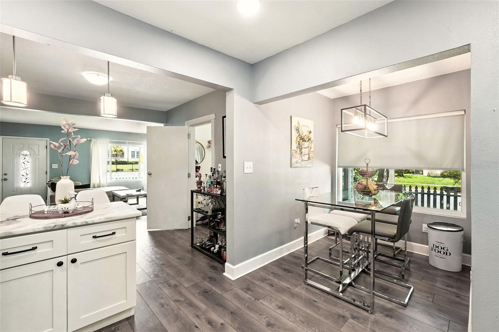 316 W PRINCETON ST, ORLANDO, FL, 32804