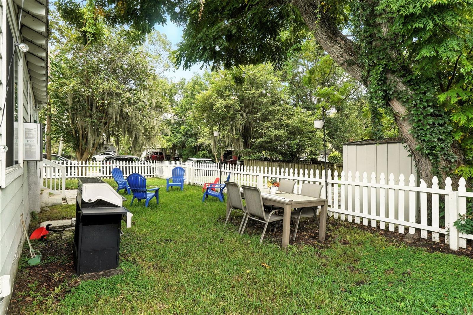 316 W PRINCETON ST, ORLANDO, FL, 32804