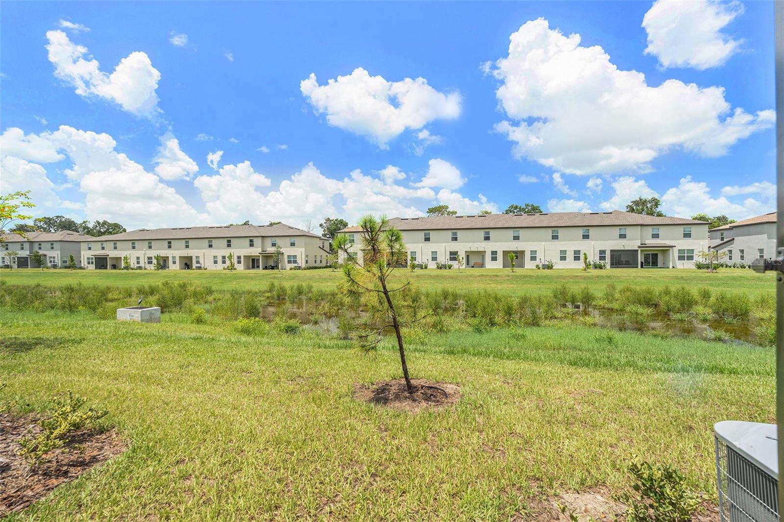 36171 RISA MICHELE ST, ZEPHYRHILLS, FL, 33541