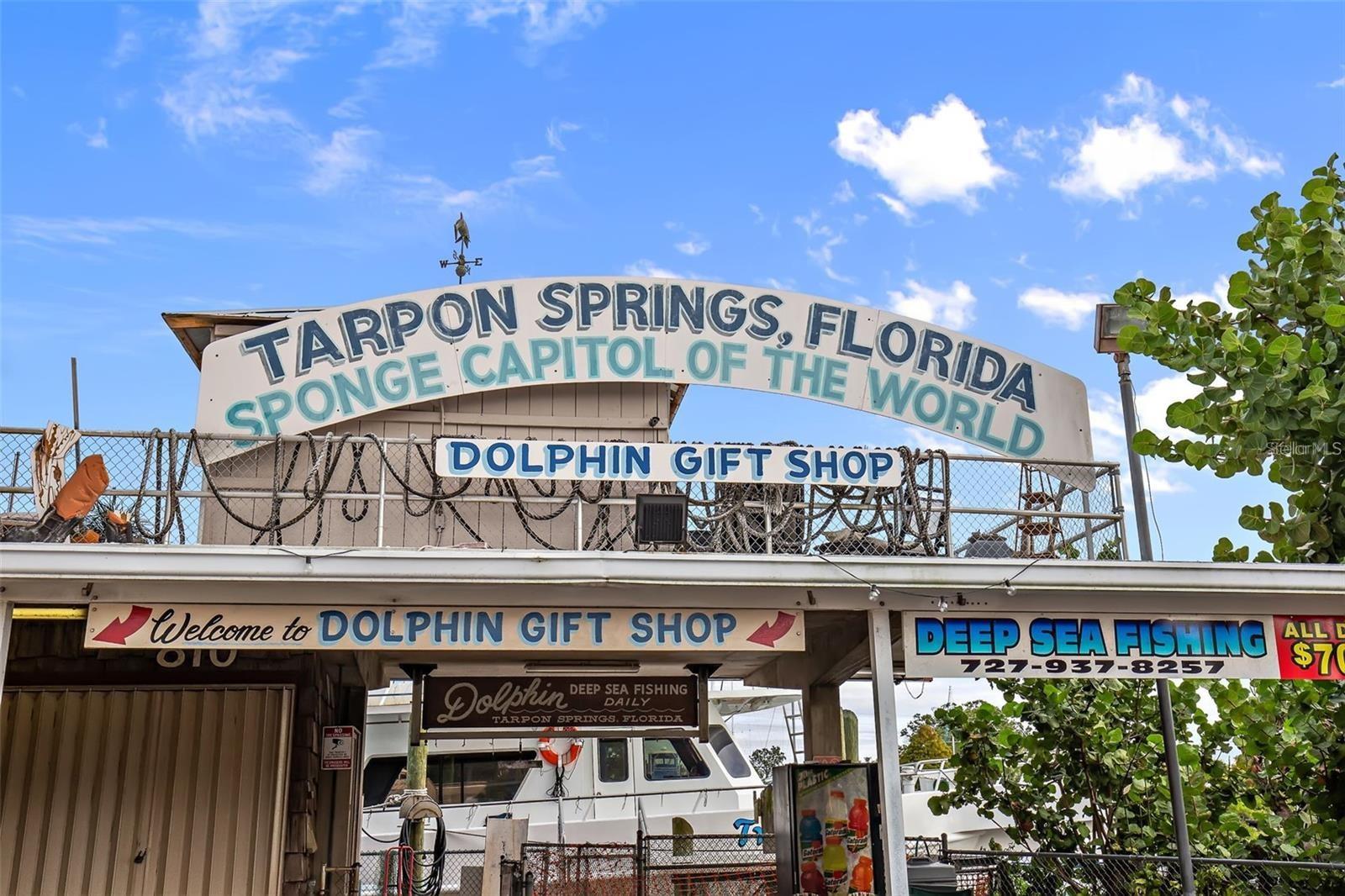 104 ANCLOTE RD, TARPON SPRINGS, FL, 34689