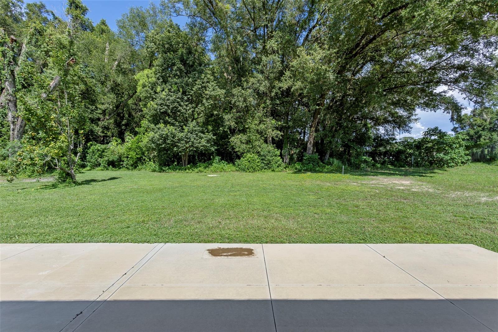 710 STANLEY AVE, WILDWOOD, FL, 34785