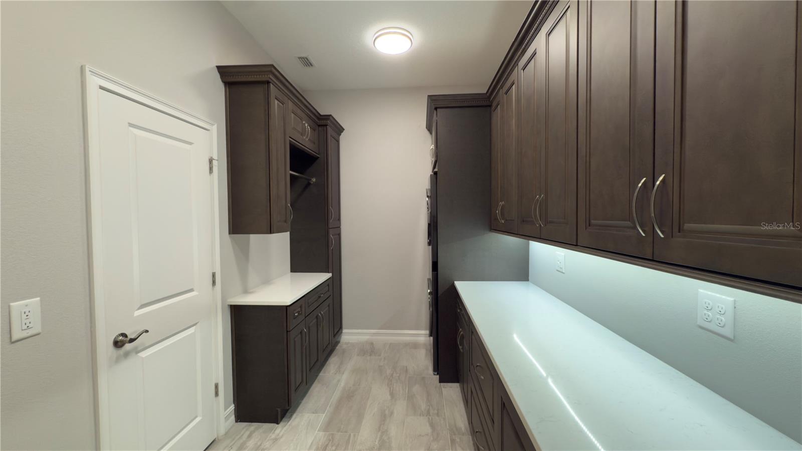 17923 BARN CLOSE DR, LUTZ, FL, 33559