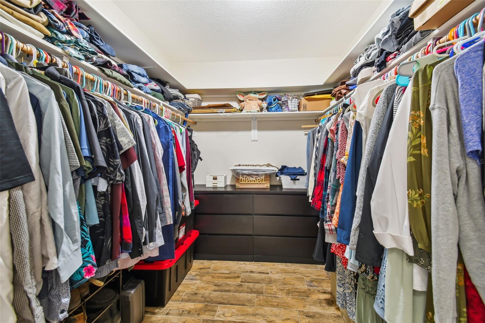 20006 LAKE HOLLY DR, LUTZ, FL, 33558