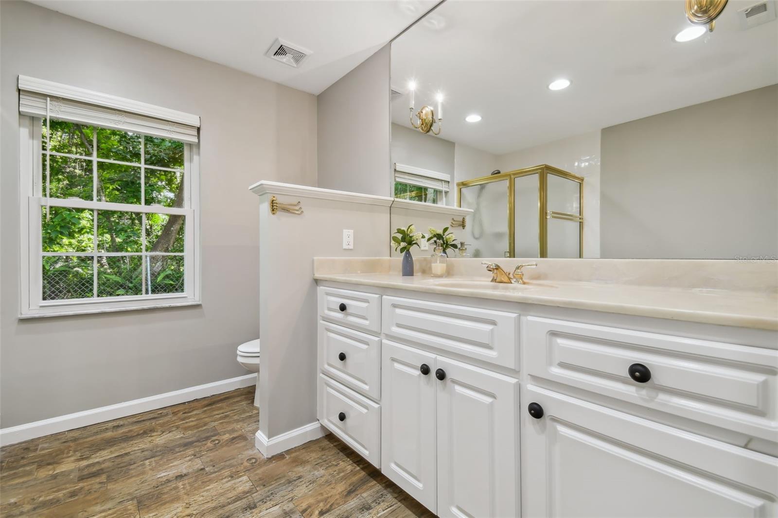 20006 LAKE HOLLY DR, LUTZ, FL, 33558