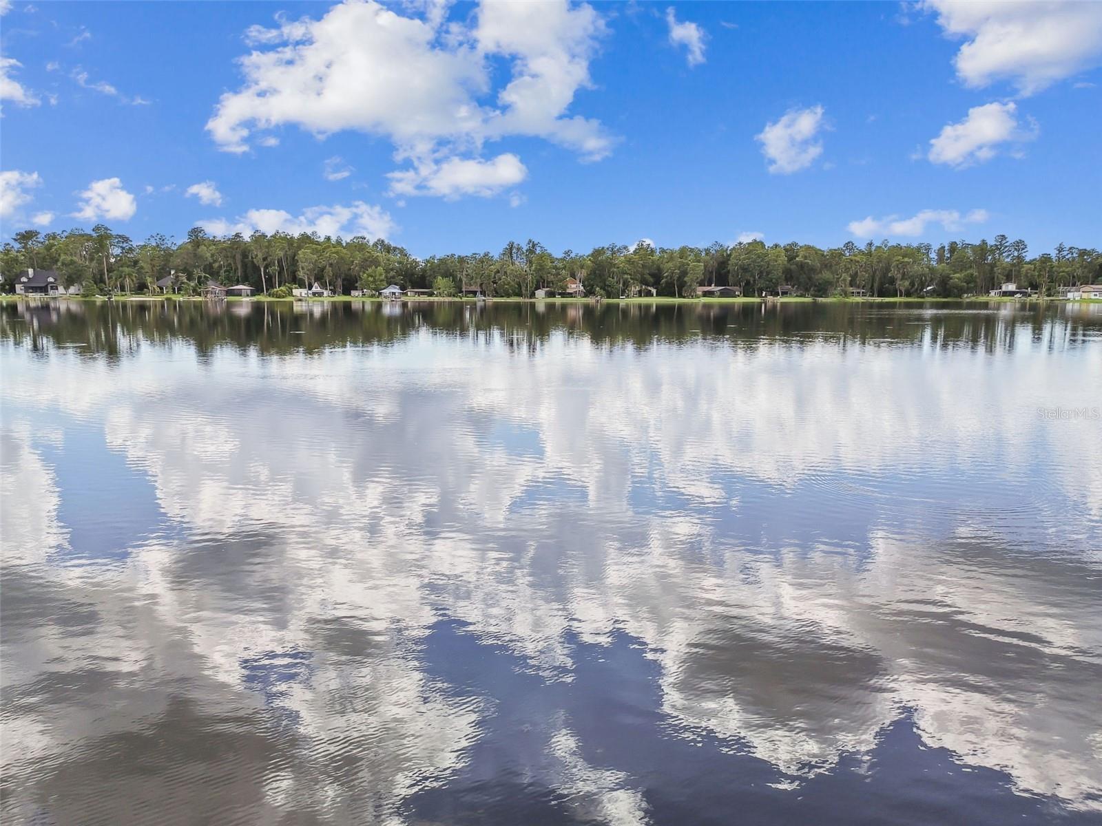 20006 LAKE HOLLY DR, LUTZ, FL, 33558