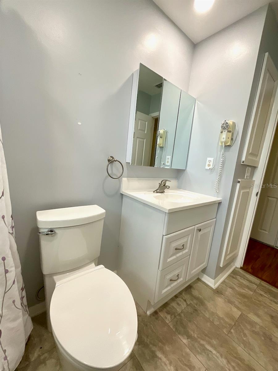 Guest bath sink area