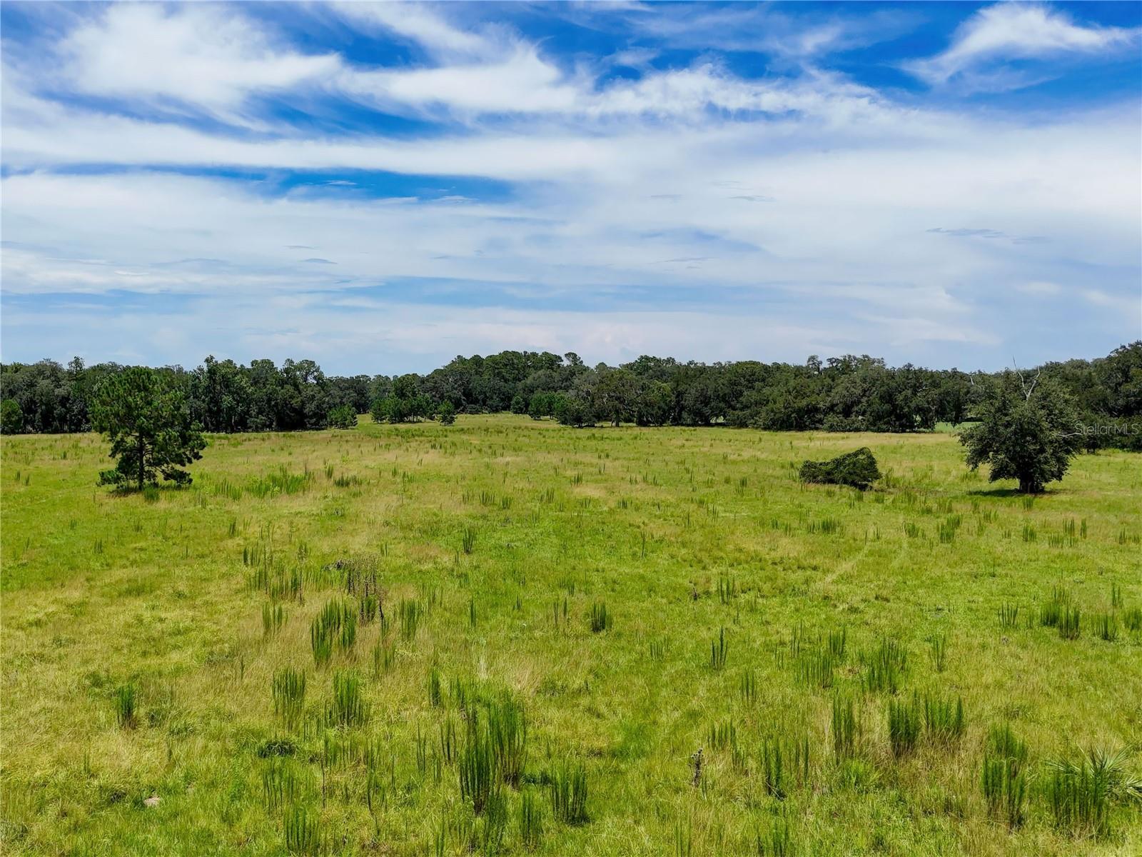 W7877630 Property Photo