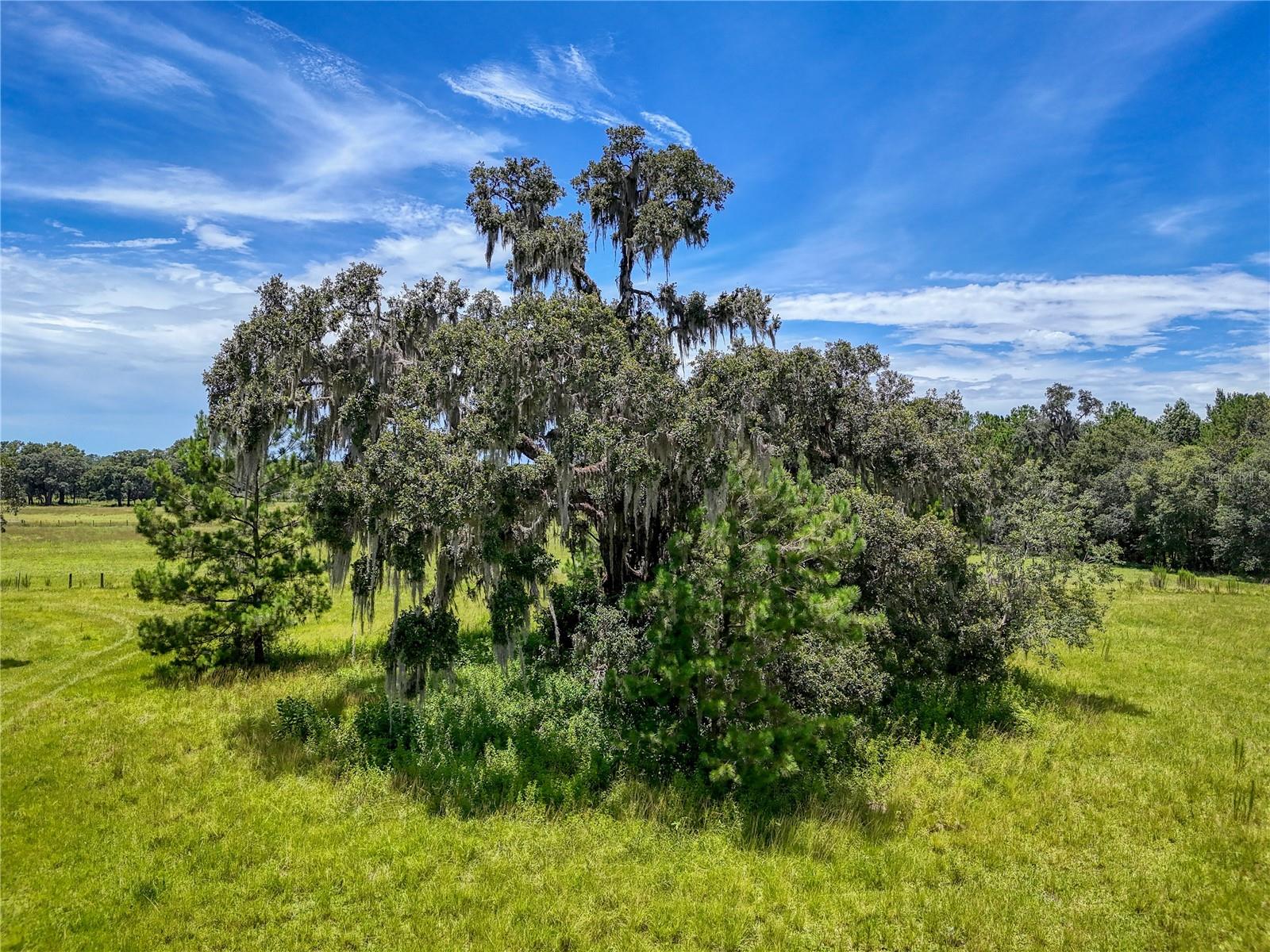 W7877630 Property Photo