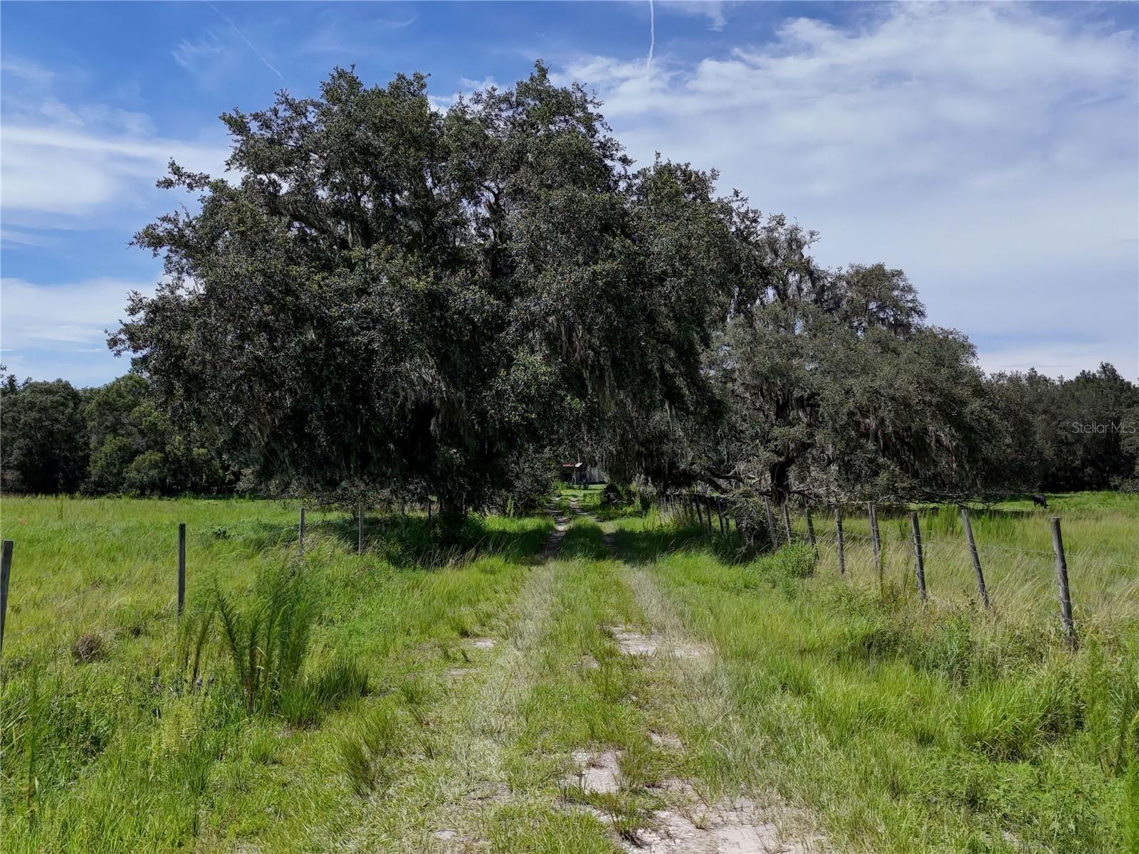 W7877630 Property Photo