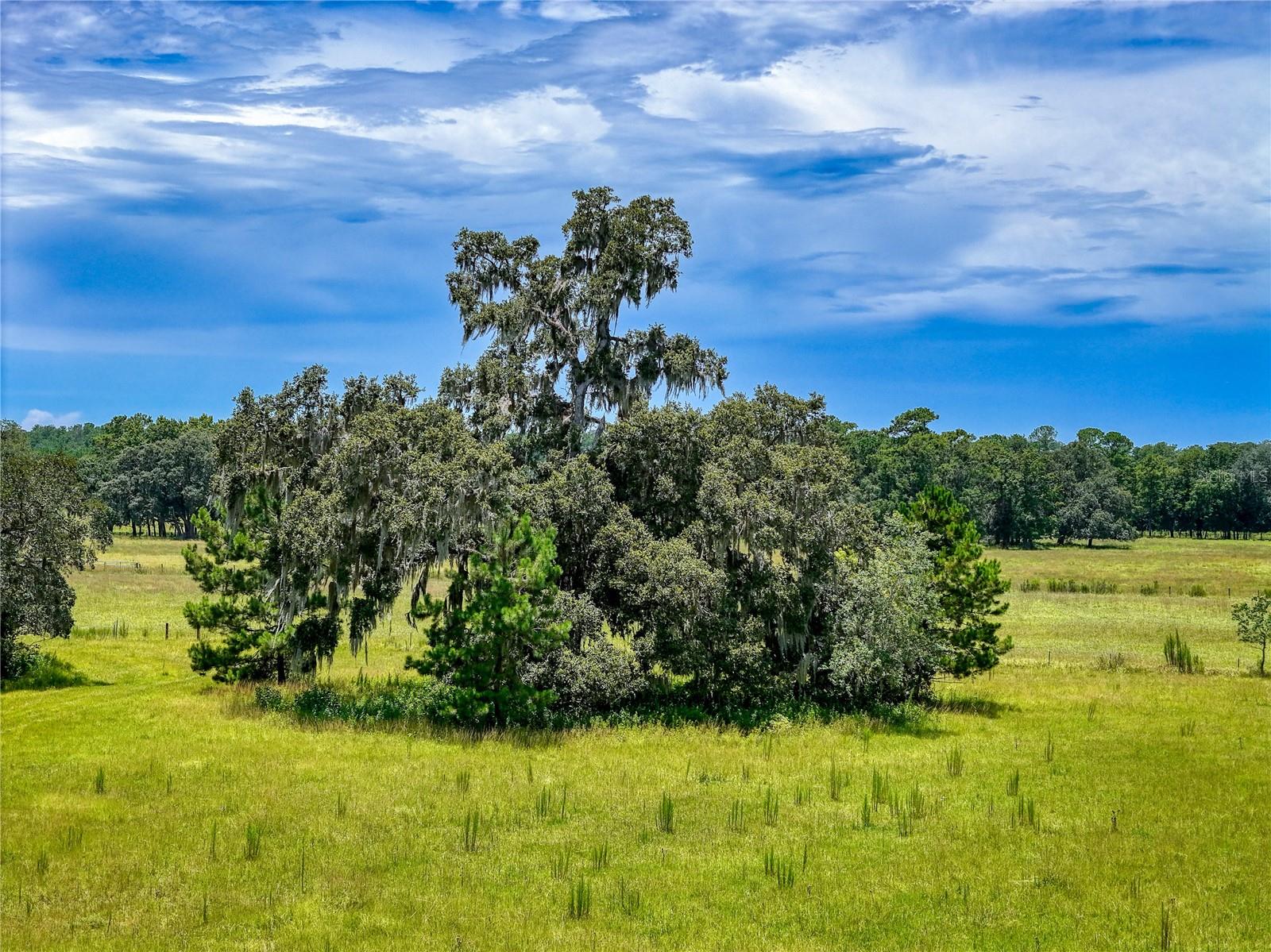 W7877630 Property Photo