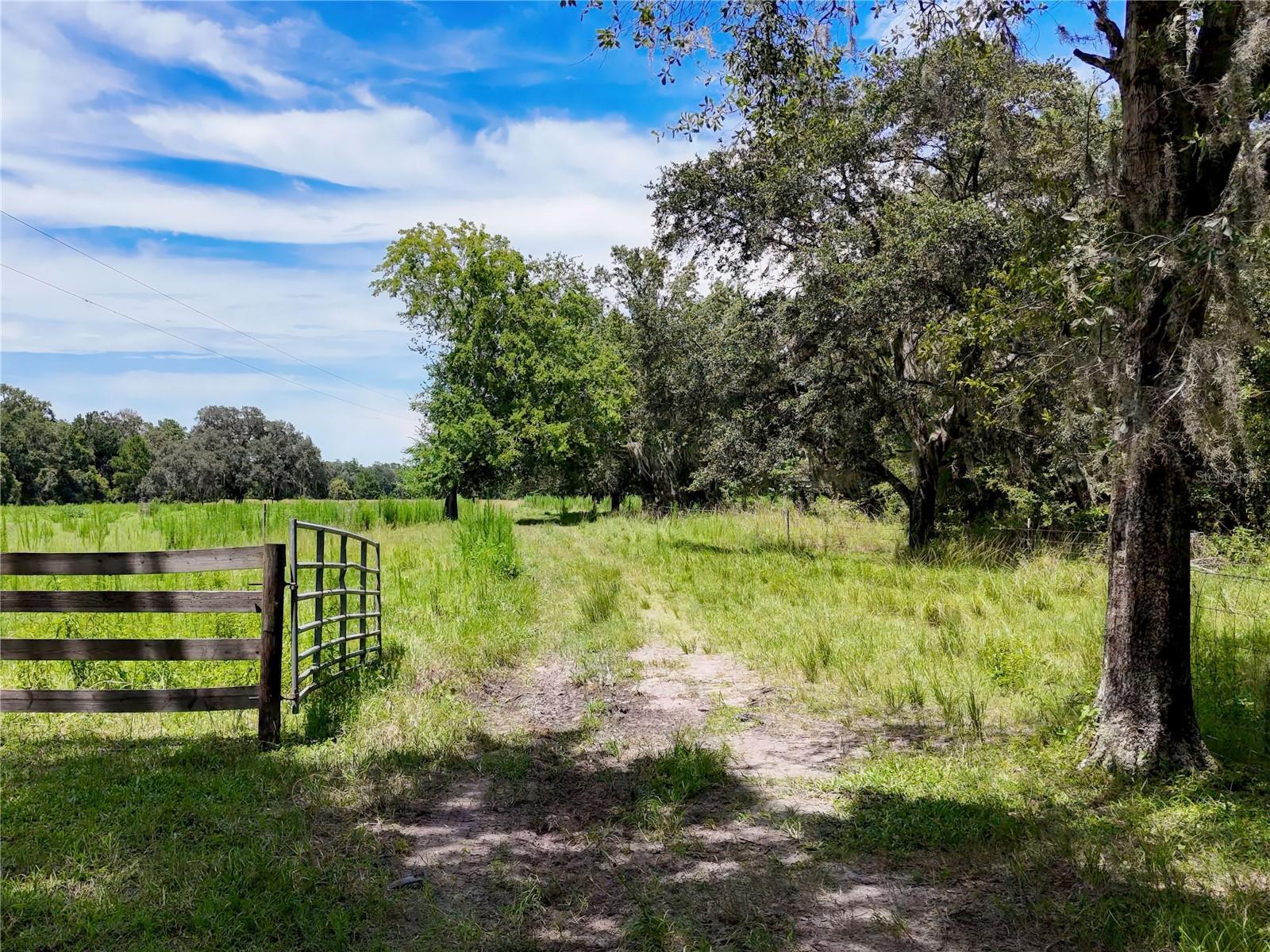 W7877630 Property Photo