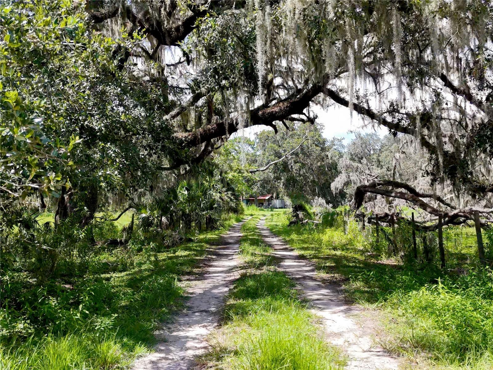 W7877630 Property Photo