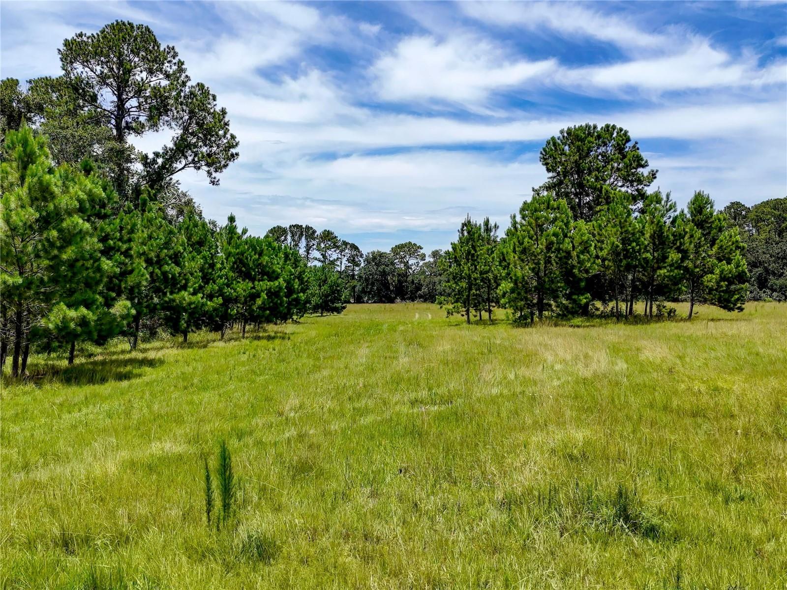 W7877630 Property Photo