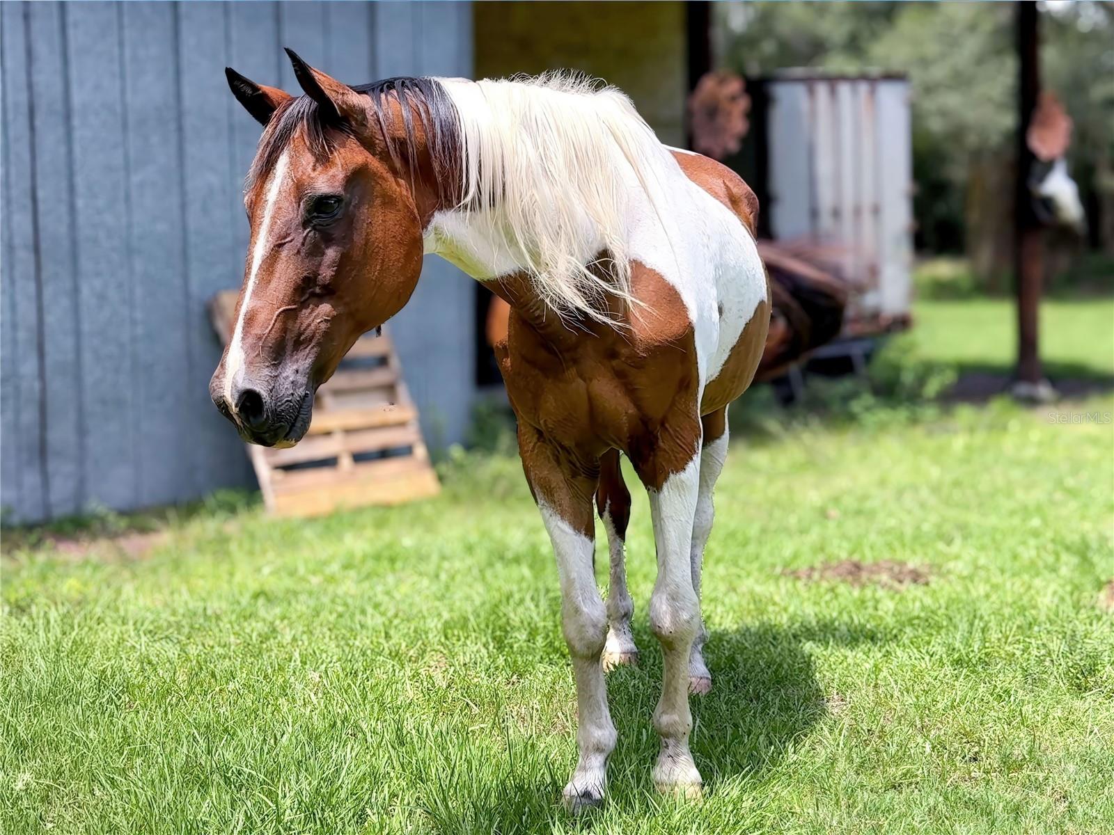 W7877630 Property Photo