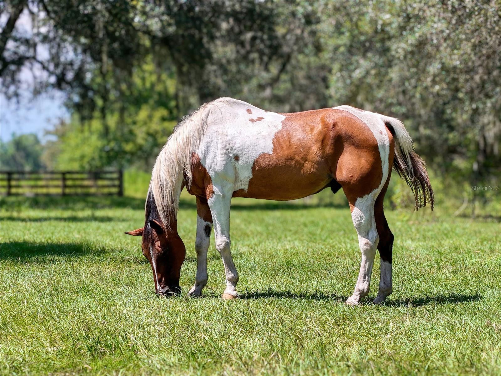 W7877630 Property Photo