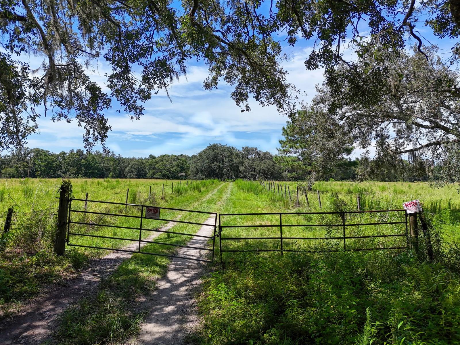 W7877630 Property Photo