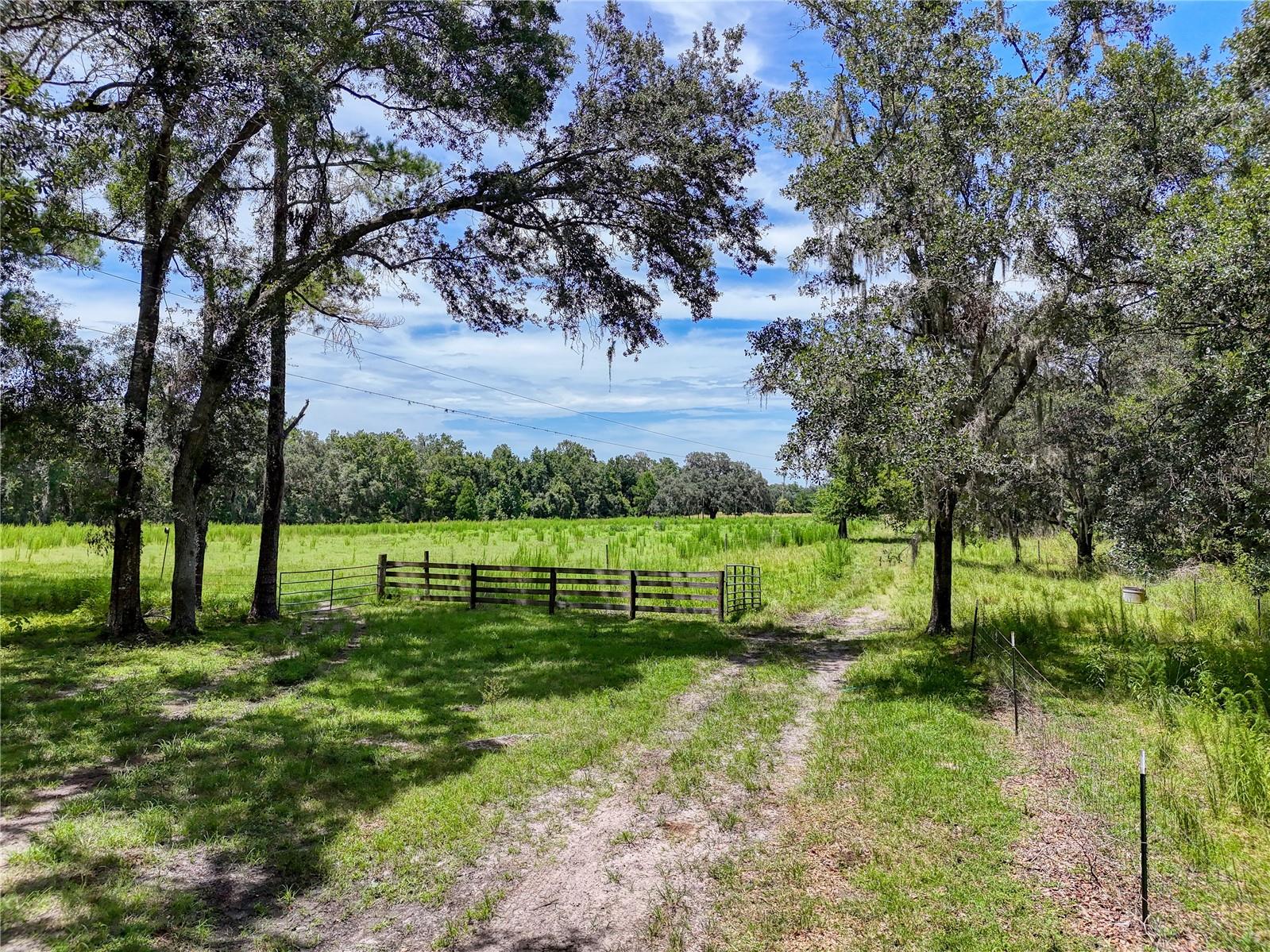 W7877630 Property Photo