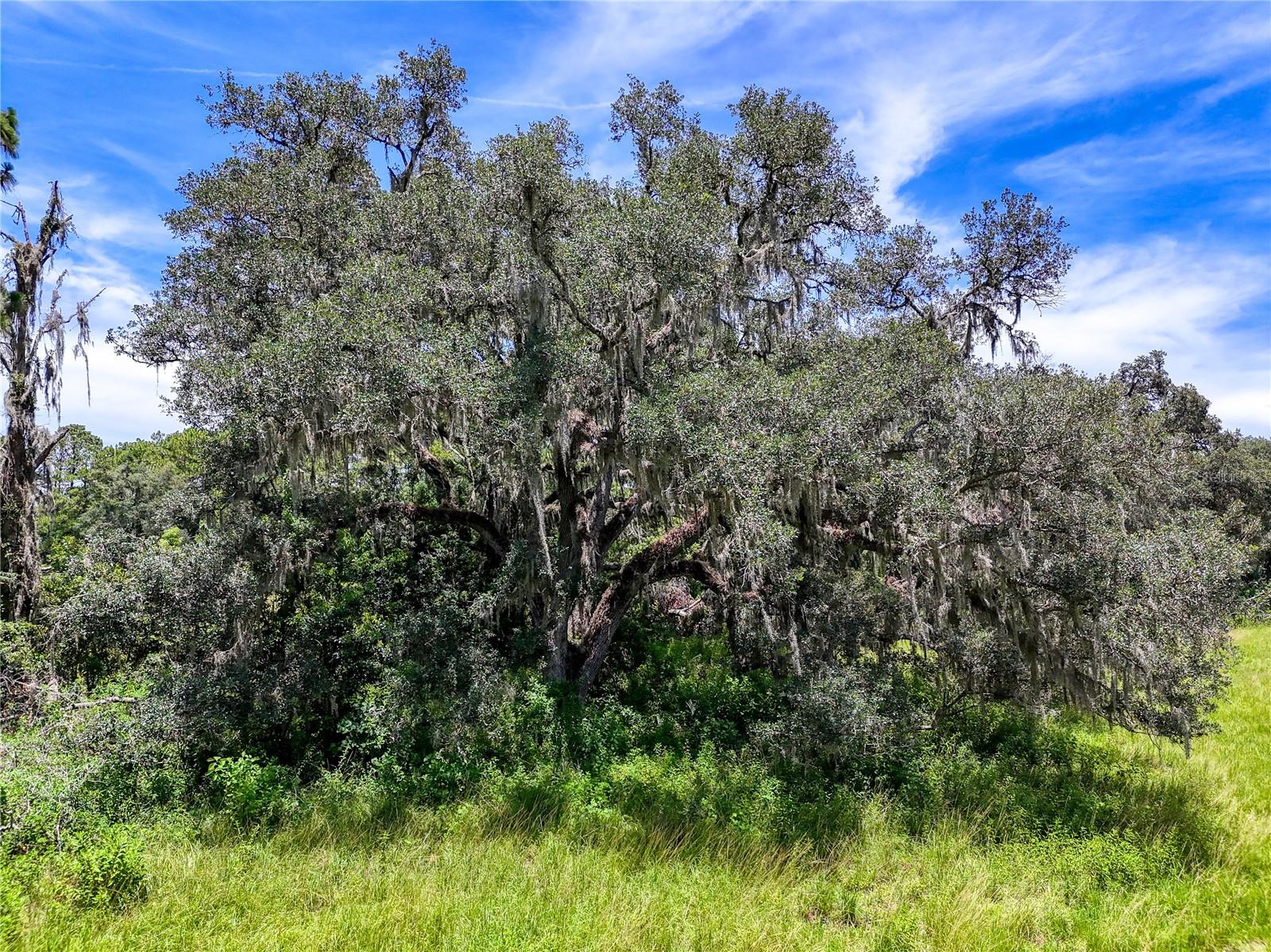 W7877630 Property Photo