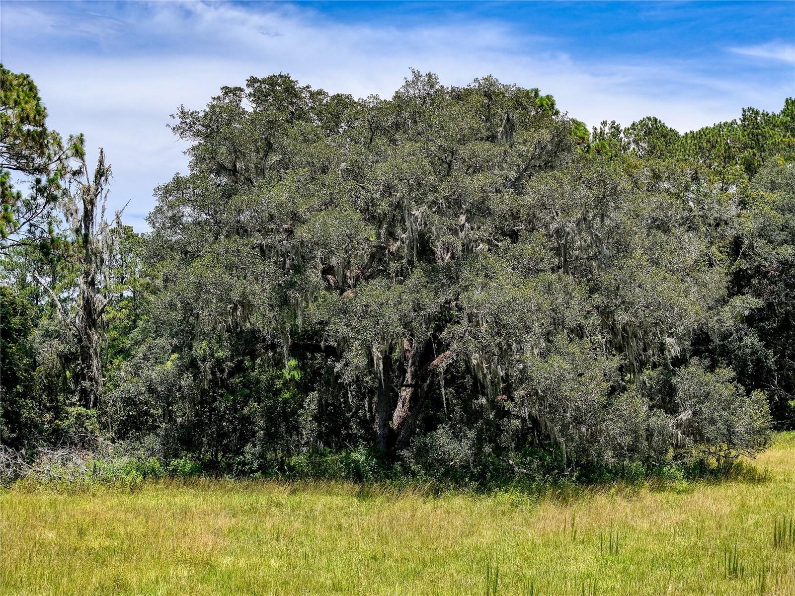 W7877630 Property Photo