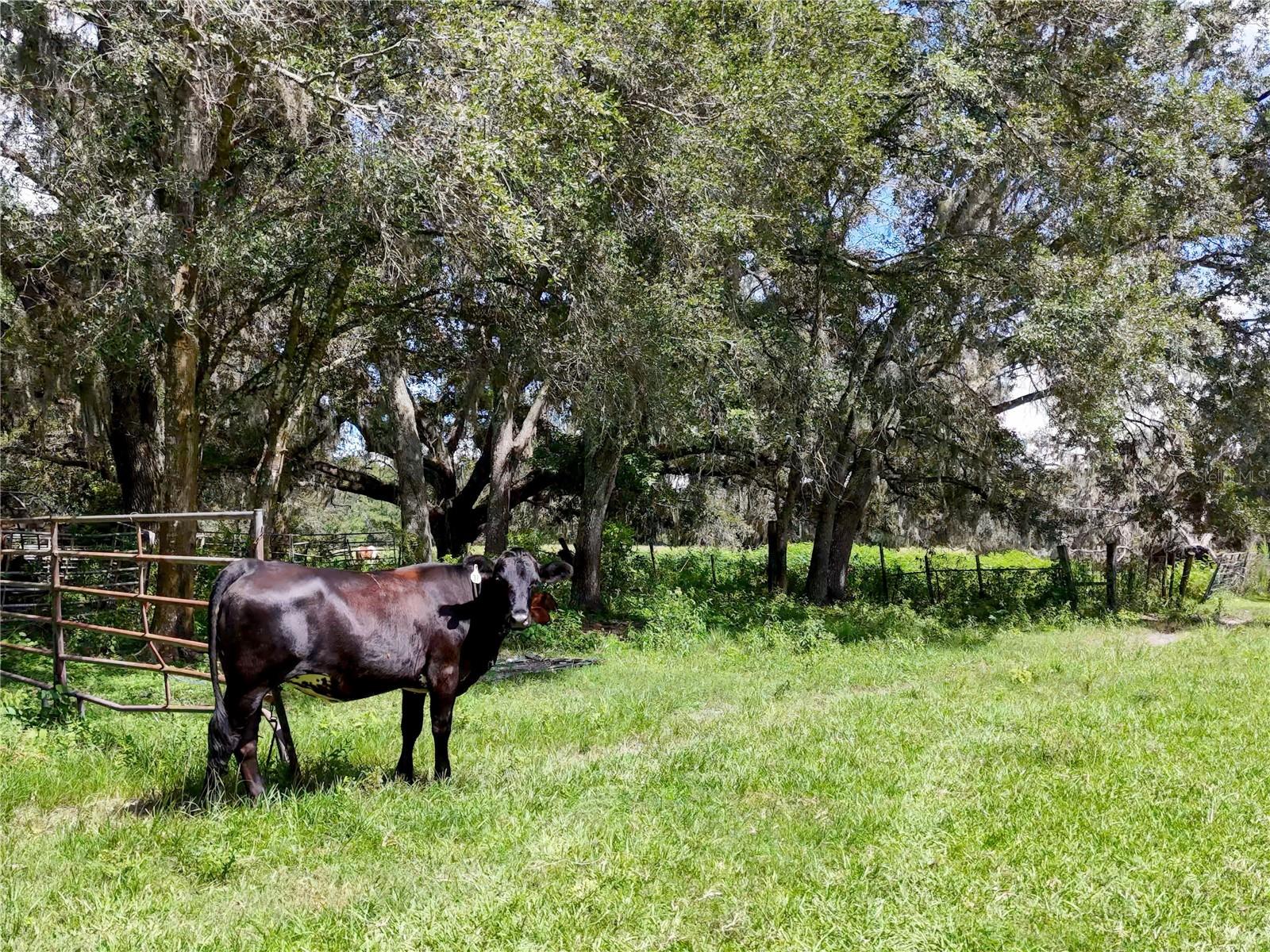 W7877630 Property Photo