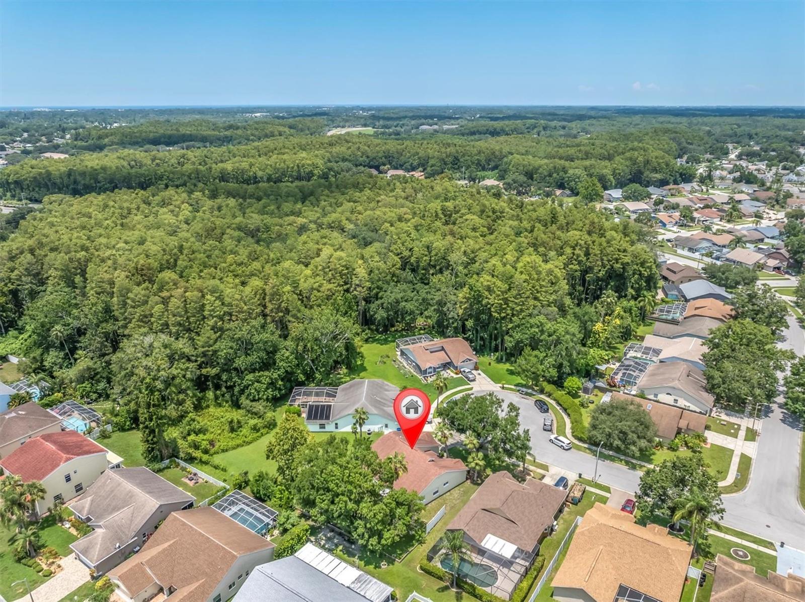 7834 ANTHULA CT, NEW PORT RICHEY, FL, 34653