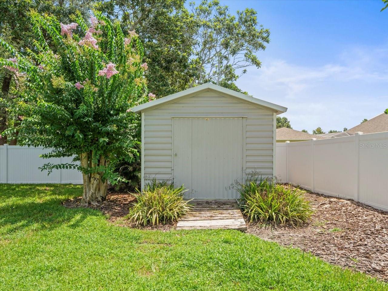 Shed in the Backyard