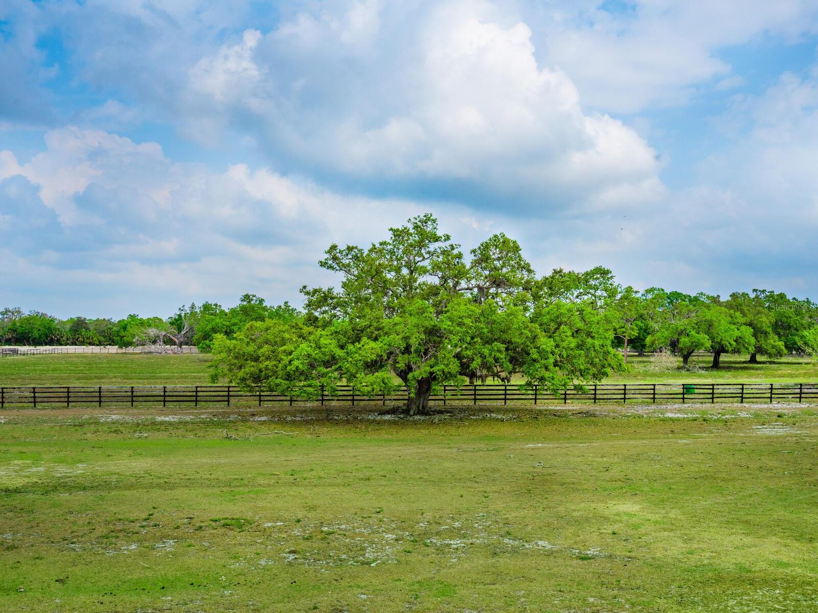 A4660187 Property Photo