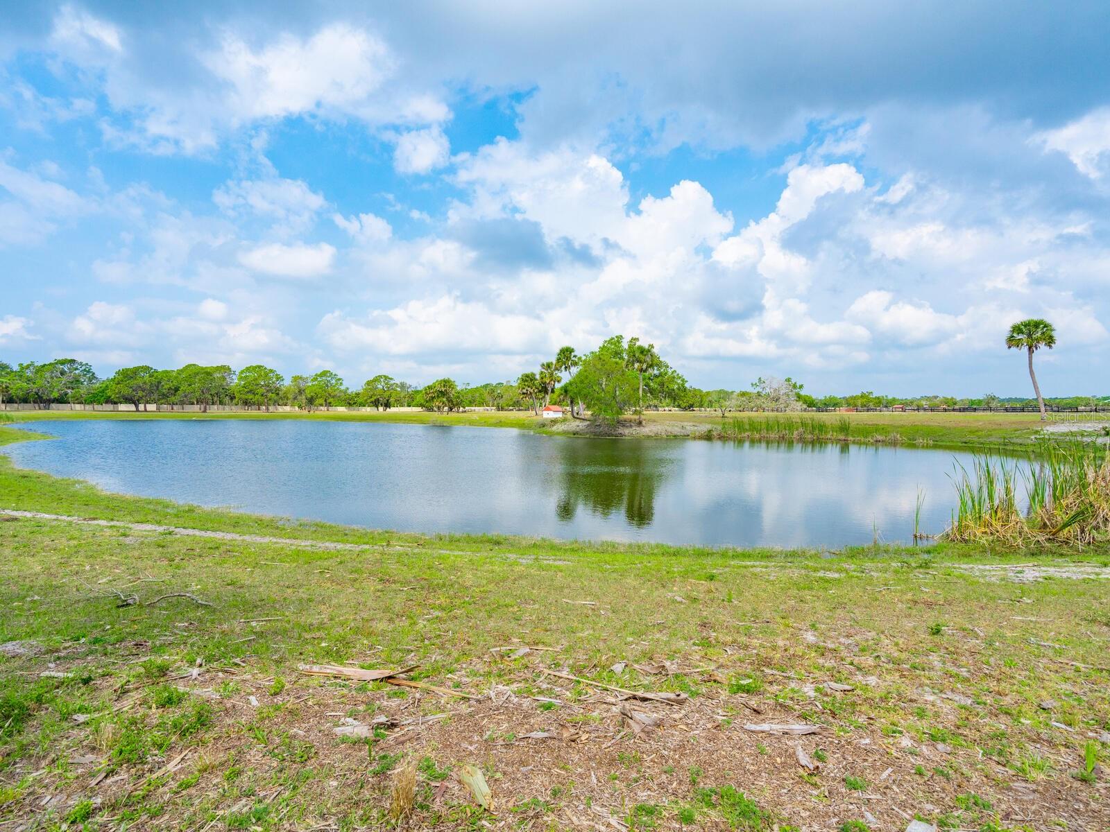 A4660187 Property Photo