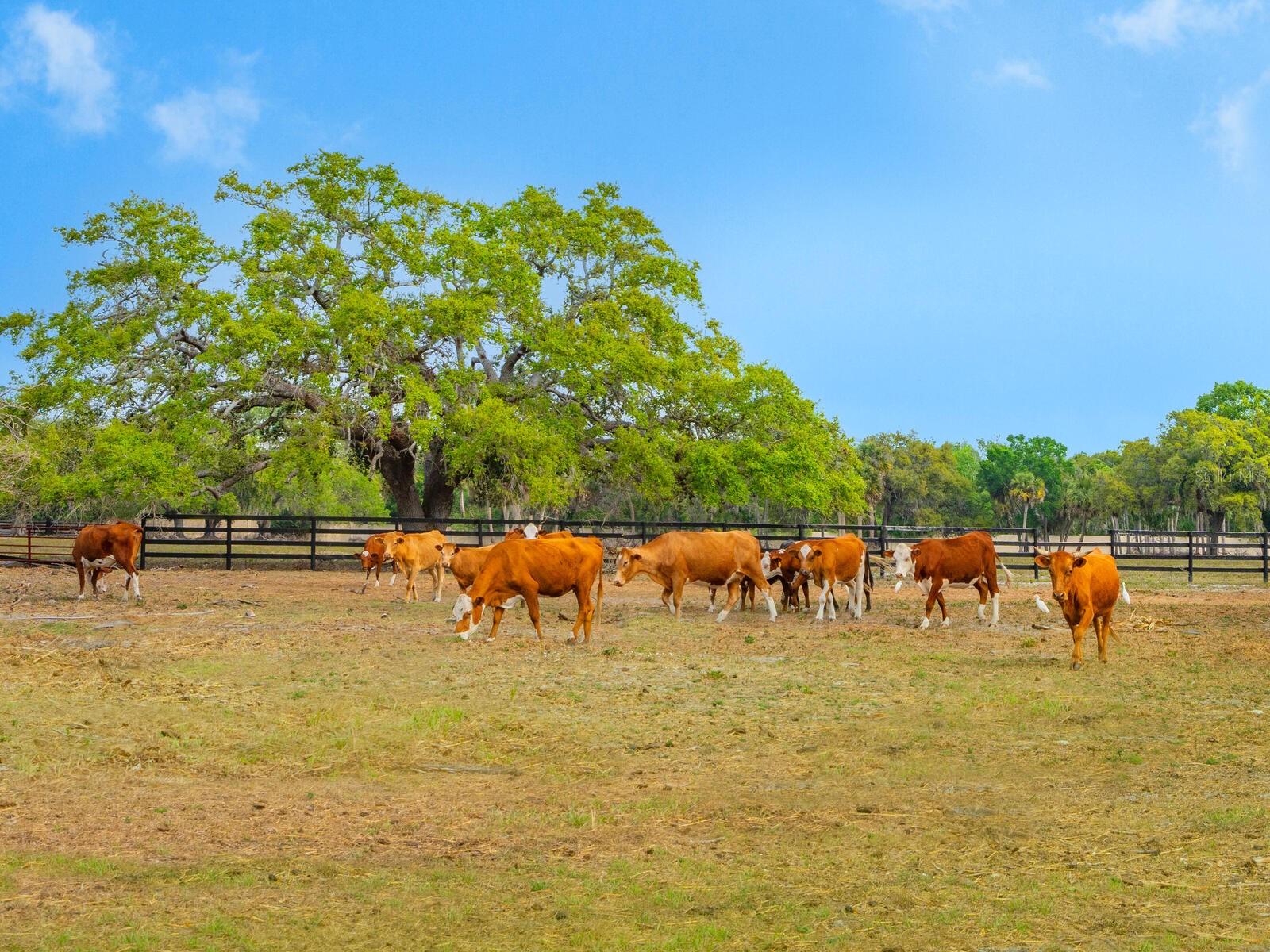 A4660187 Property Photo