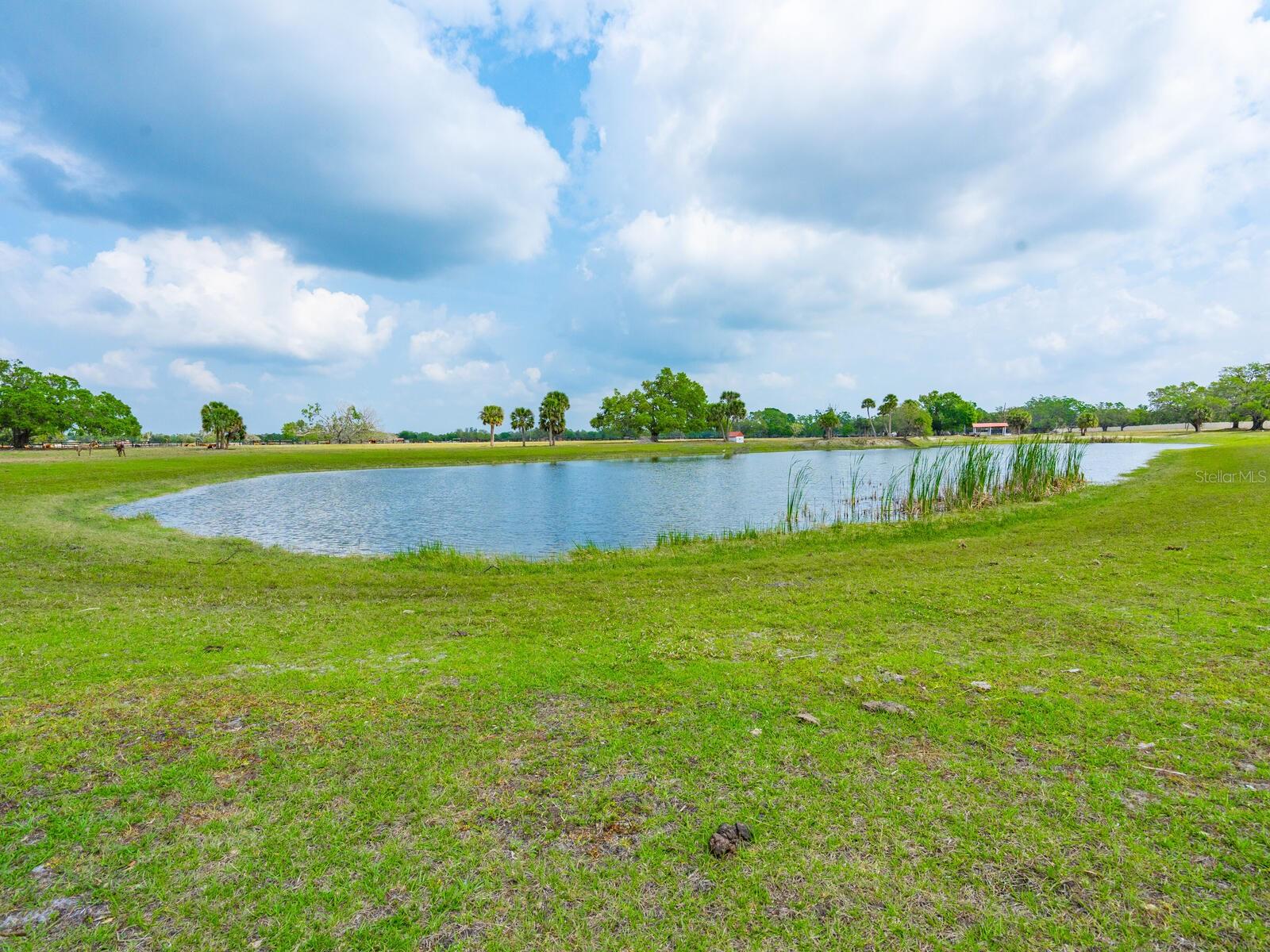 A4660187 Property Photo