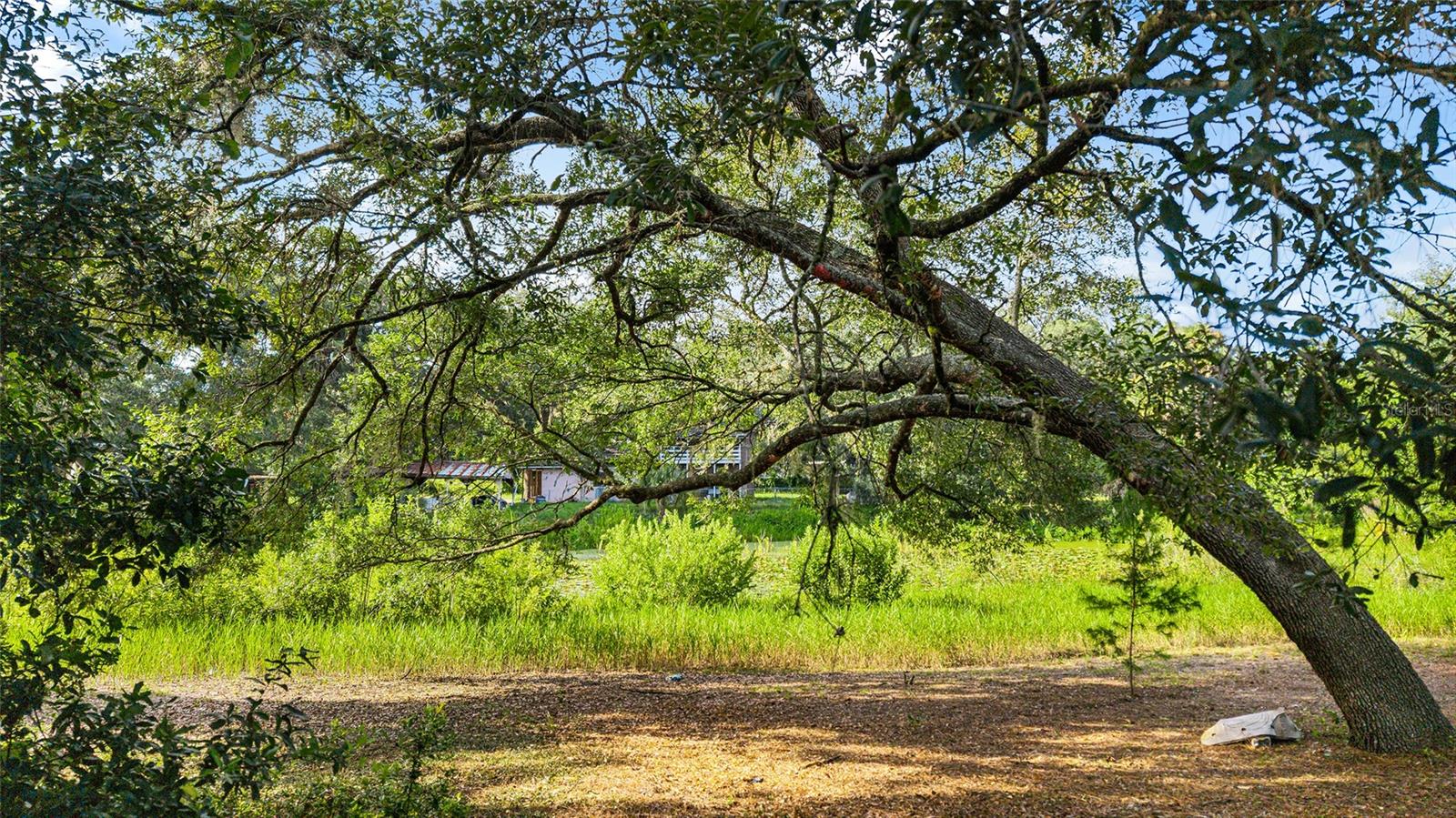 W7877658 Property Photo