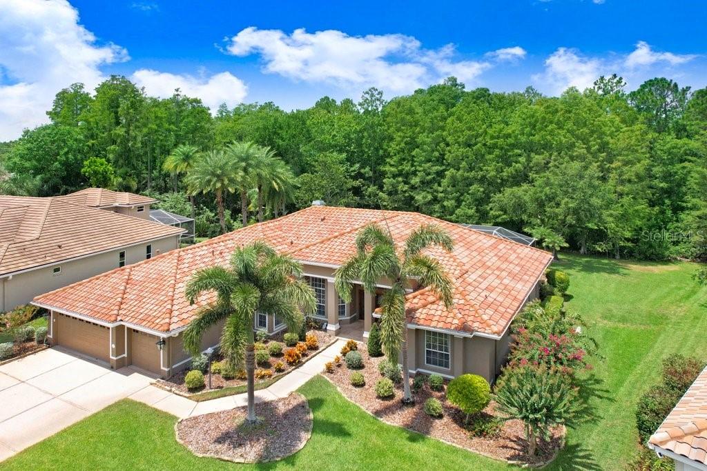 12029 BREWSTER DR, TAMPA, FL, 33626