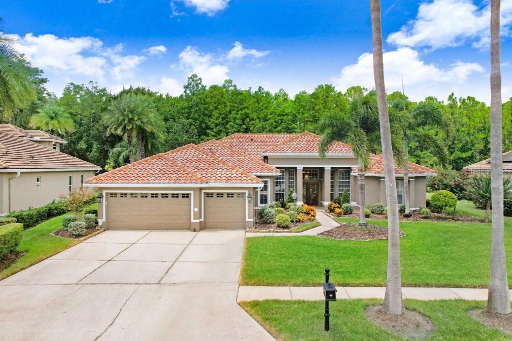 12029 BREWSTER DR, TAMPA, FL, 33626