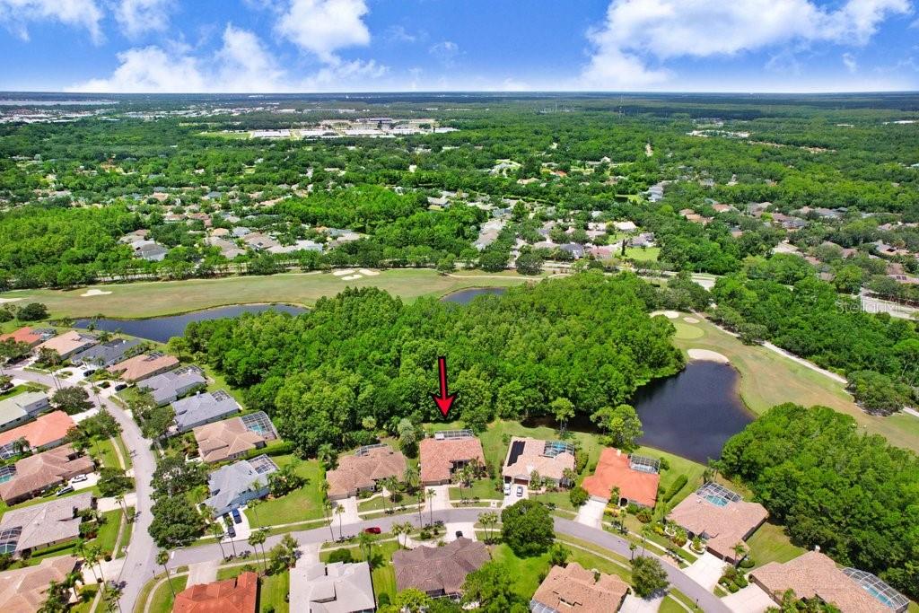 12029 BREWSTER DR, TAMPA, FL, 33626