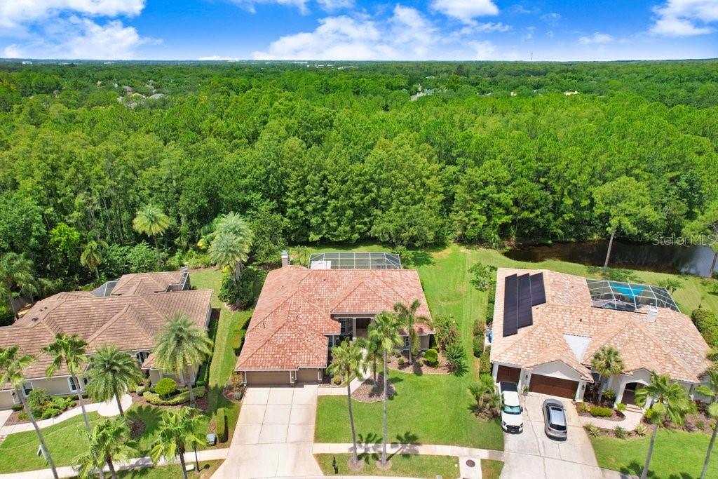 12029 BREWSTER DR, TAMPA, FL, 33626