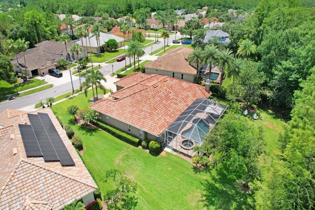 12029 BREWSTER DR, TAMPA, FL, 33626