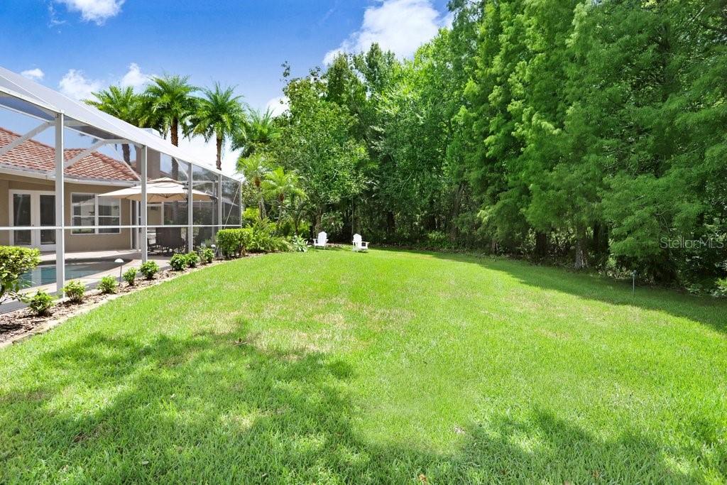 12029 BREWSTER DR, TAMPA, FL, 33626