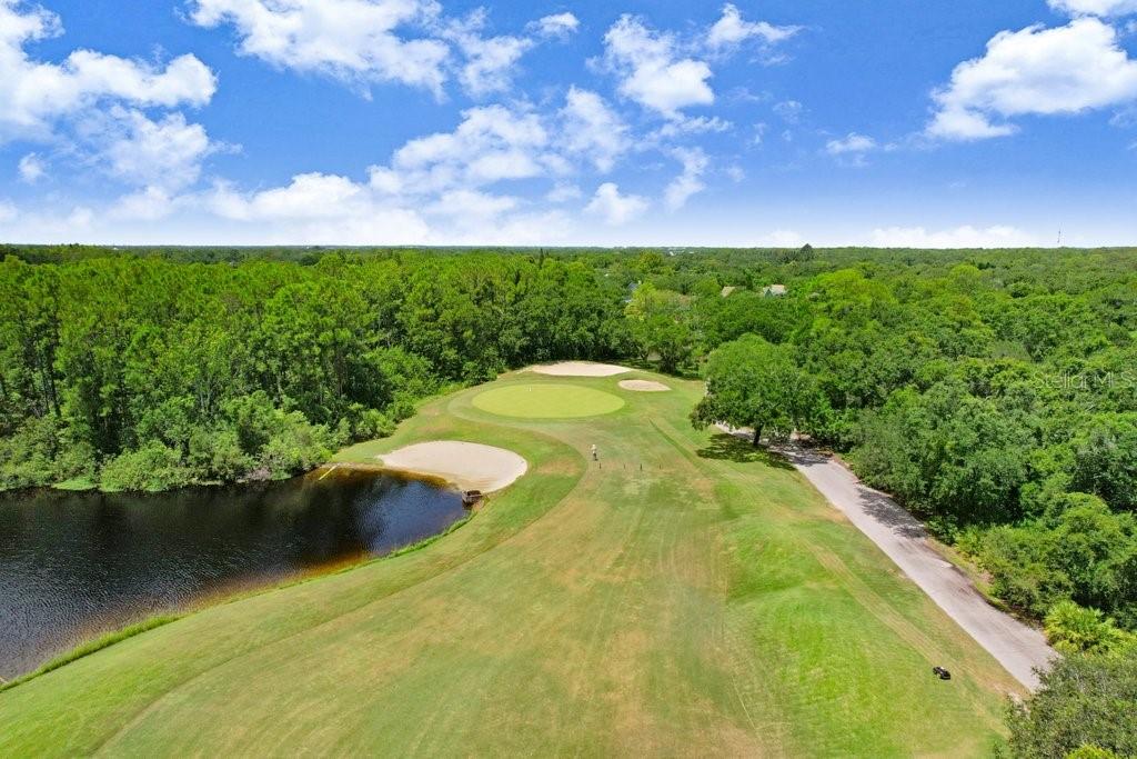 12029 BREWSTER DR, TAMPA, FL, 33626