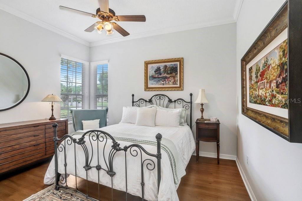 12029 BREWSTER DR, TAMPA, FL, 33626