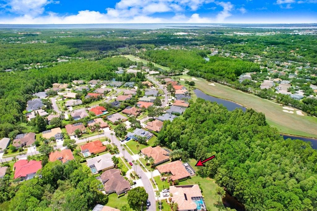 12029 BREWSTER DR, TAMPA, FL, 33626