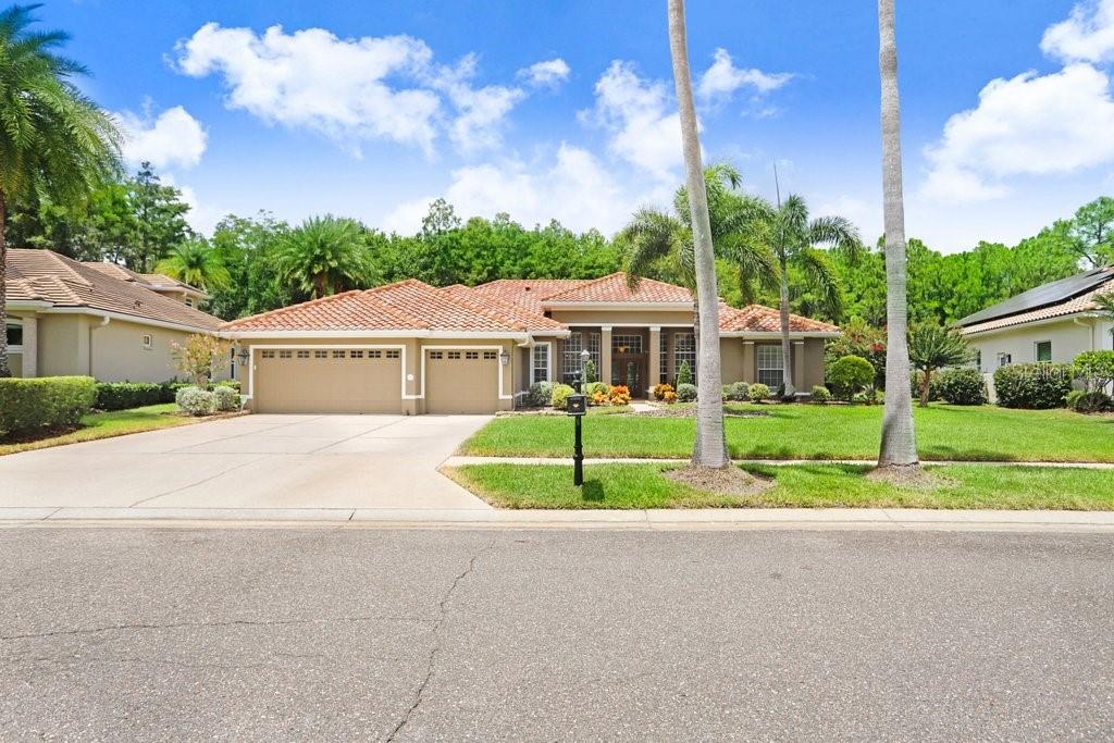 12029 BREWSTER DR, TAMPA, FL, 33626