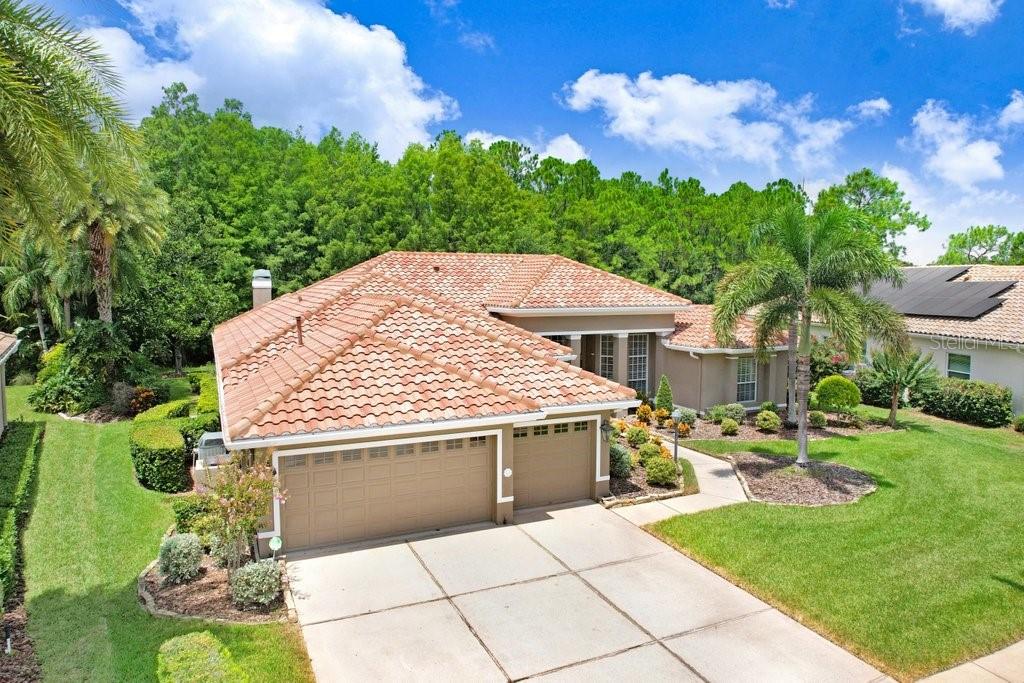 12029 BREWSTER DR, TAMPA, FL, 33626